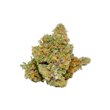 Why Premium Indoor Hemp Flower is the Best Choice for You