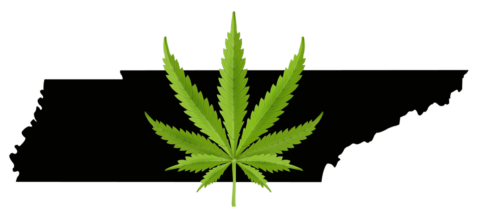 The Legality of Hemp in Tennessee